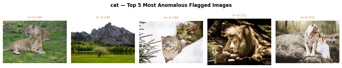 Cat Anomalies