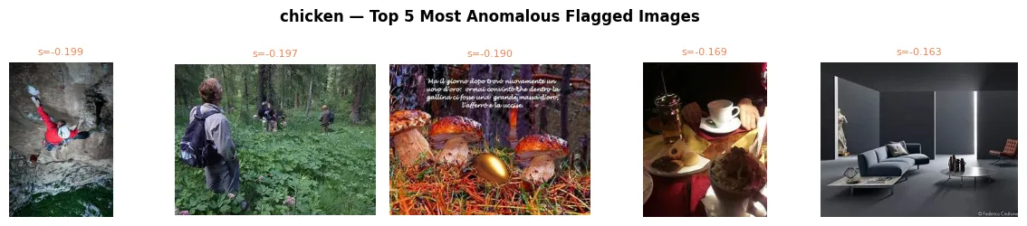 Chicken Anomalies