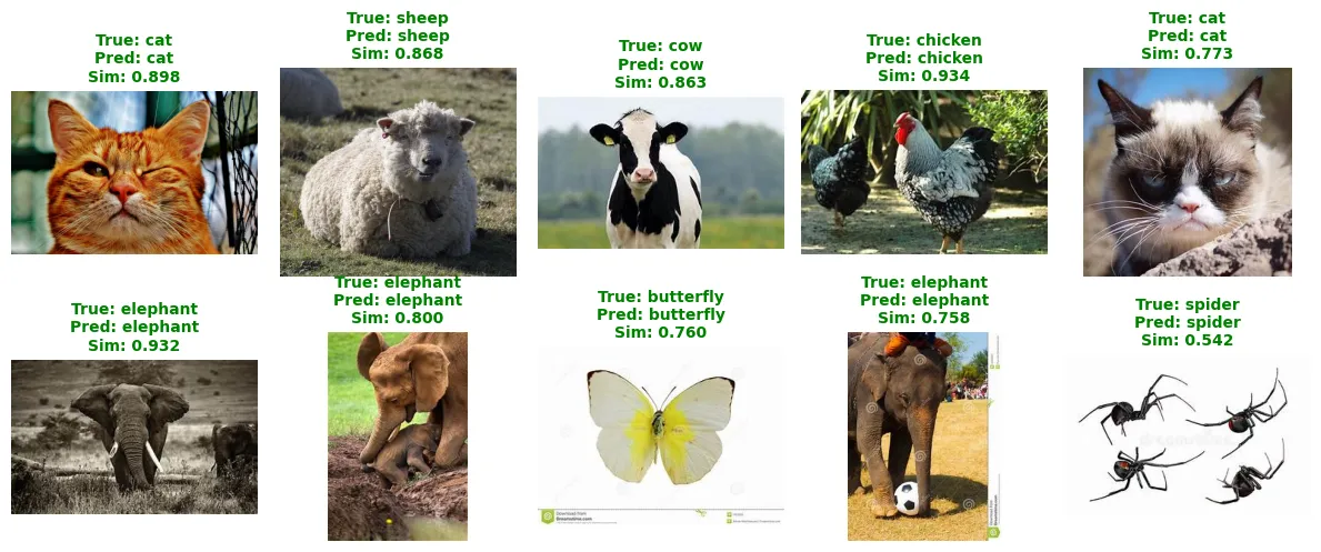 Classification of holdout images