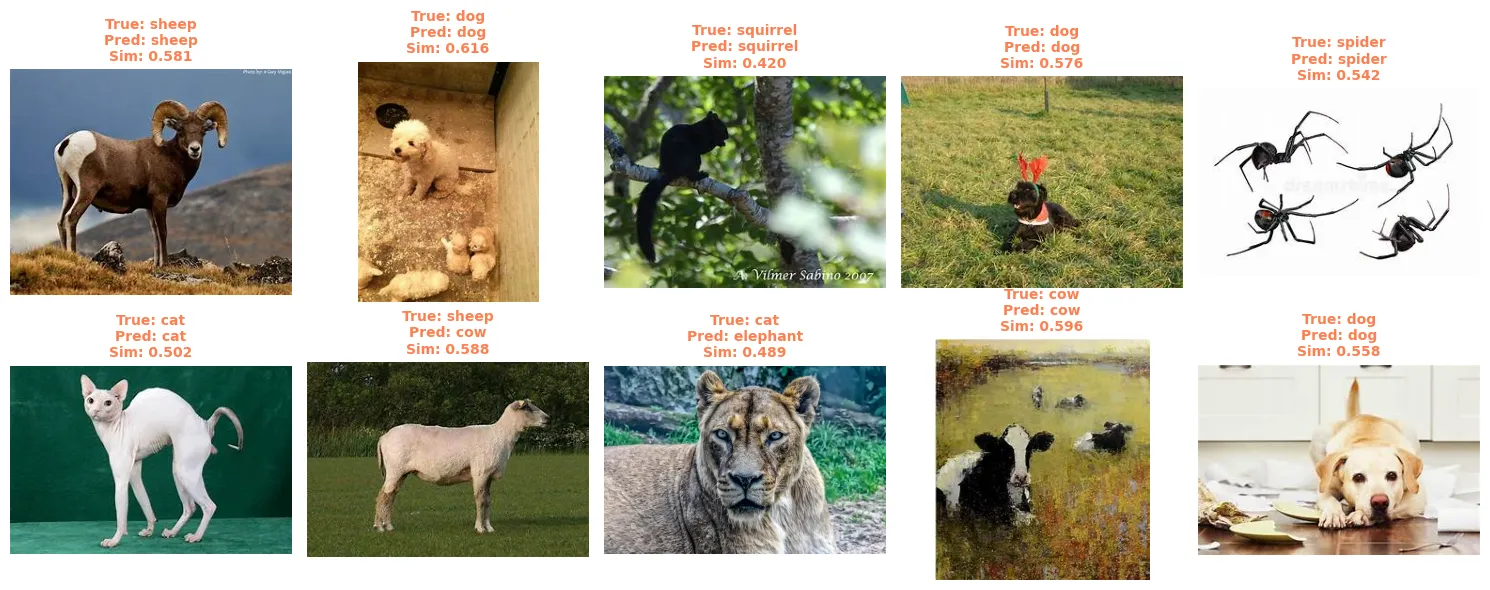 Images flagged for human review