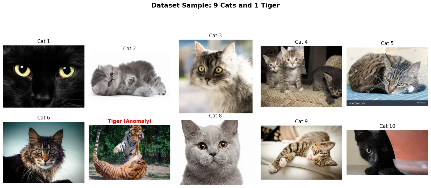 Toy Dataset: 9 Cats and 1 Tiger