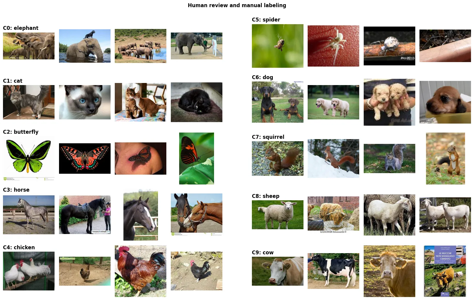 Manual verification and labeling interface showing images from each cluster