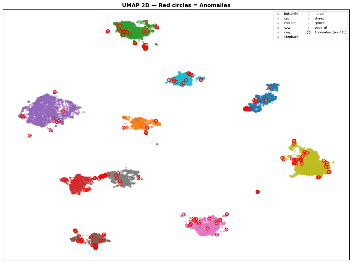 UMAP Anomaly Scatter Plot